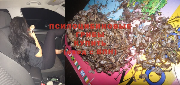 стафф Зеленодольск