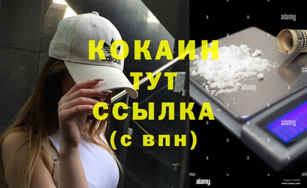 стафф Зеленодольск