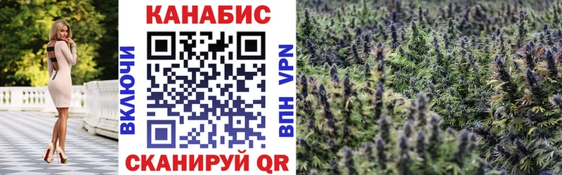 Каннабис сатива  Купить закладки  Долинск 